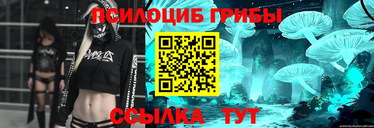 Псилоцибиновые грибы мицелий  Галлюциногенные грибы Cubensis  Новосибирск  Вход с VPN 